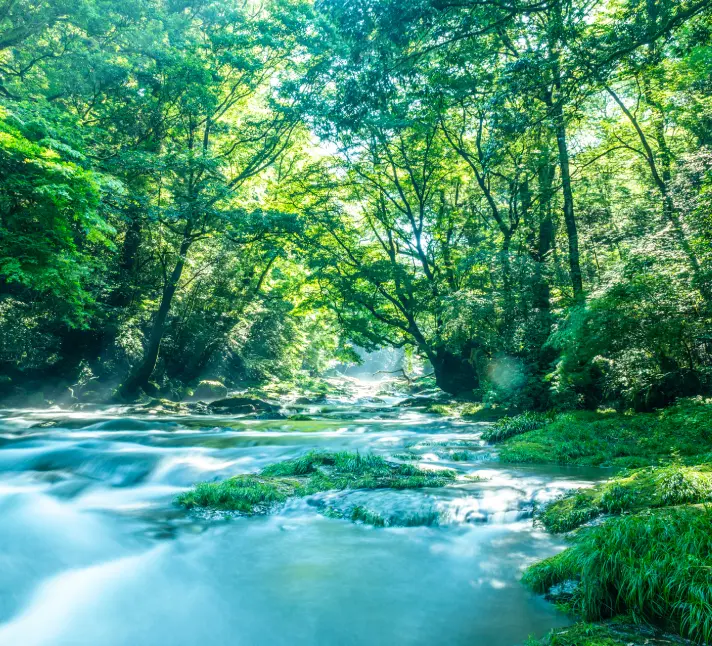 水源涵養